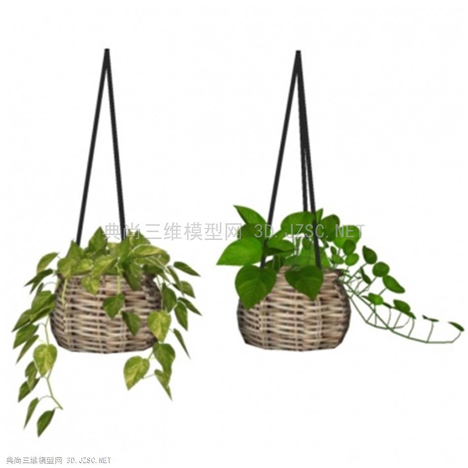 现代盆栽吊篮，竹篮绿萝
