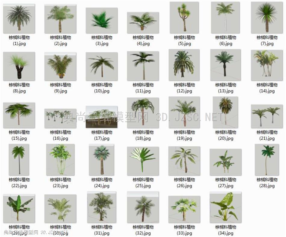 【合集】棕榈科植物 模型库
