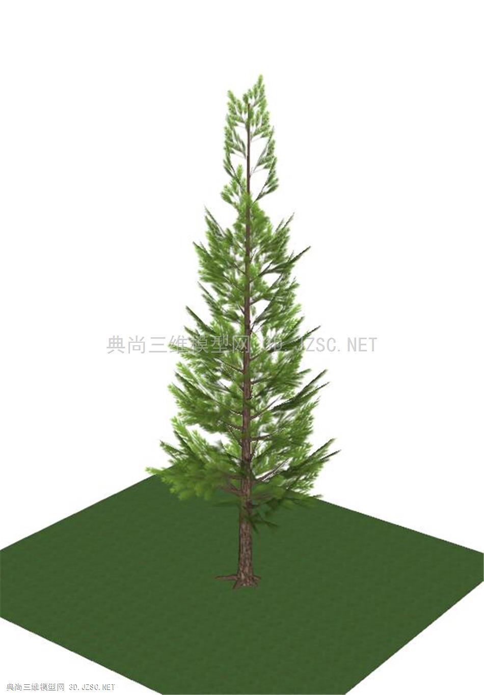 3D植物松树