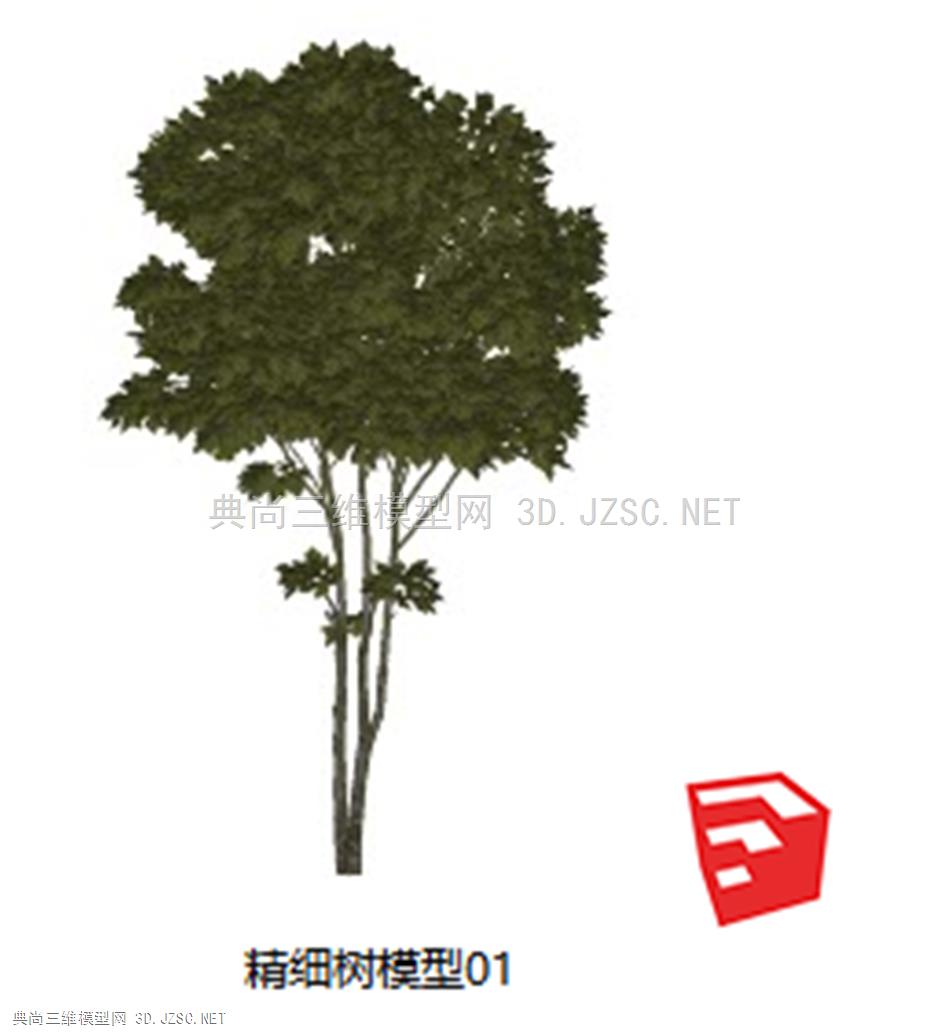 精细树模型01