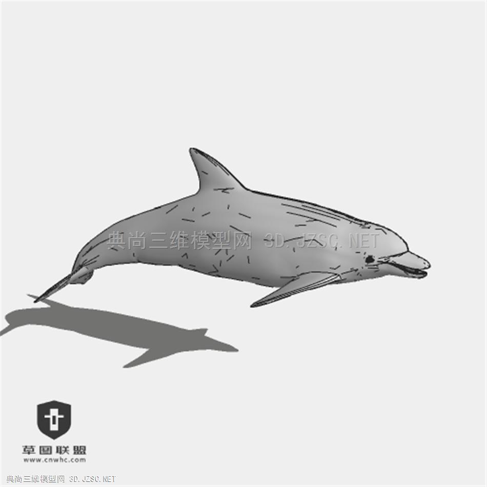 039_动物二 海豚