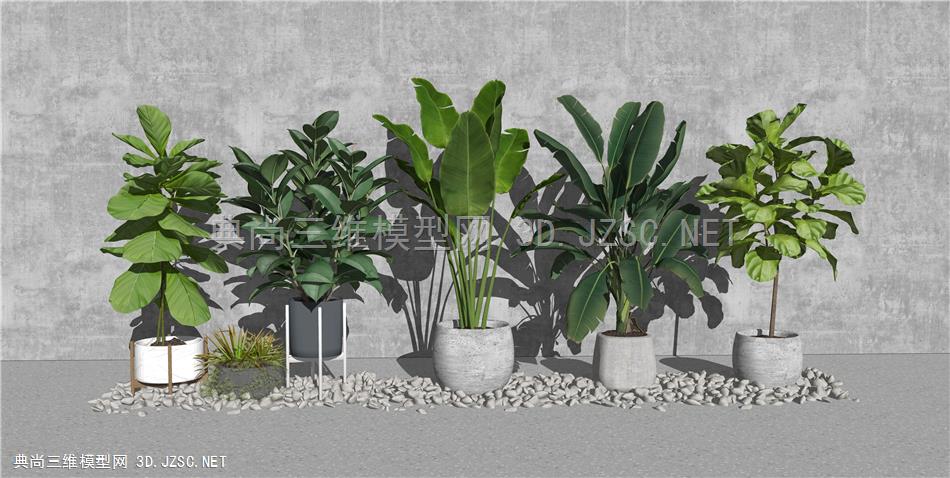 北欧绿植盆栽摆件 室内植物 绿植 室外植物 原创
