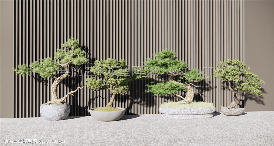 新中式松树盆栽 盆景 绿植 景观树 原创