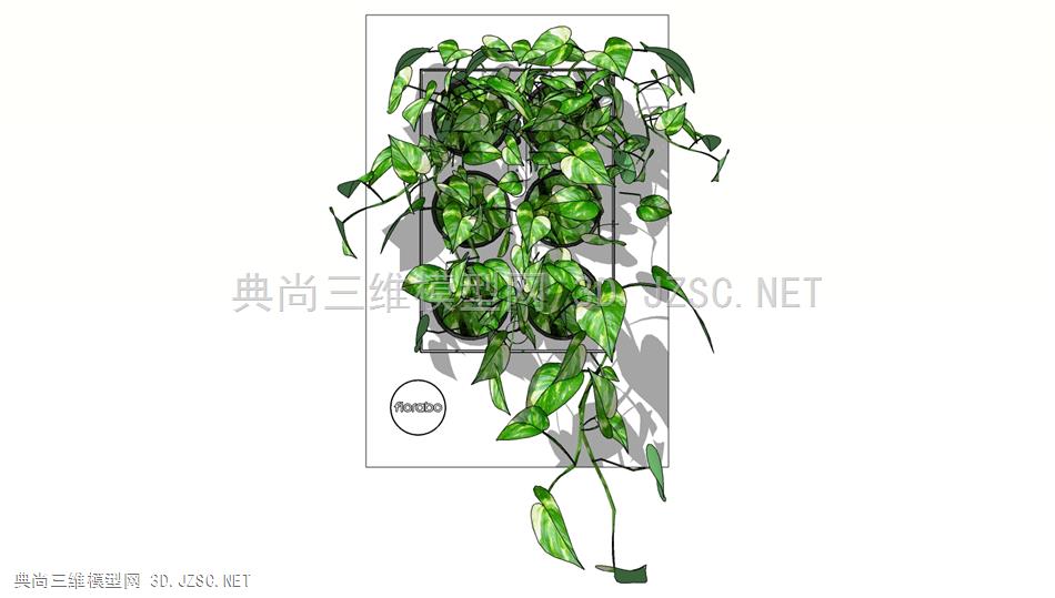悬垂绿萝植物 (2)
