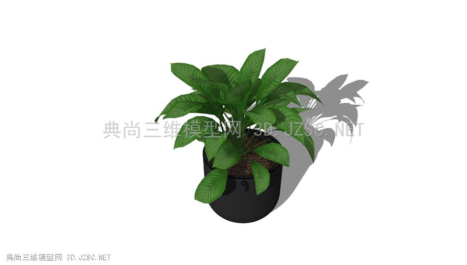 悬垂绿萝植物 (6)