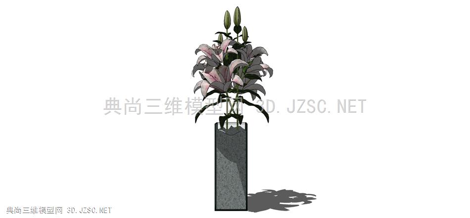 现代风格装饰植物盆栽 (140)