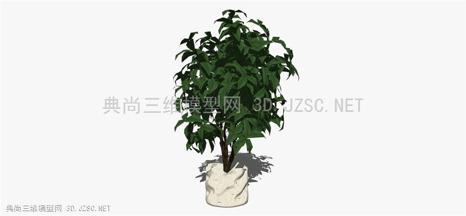 现代风格装饰植物盆栽 (48)