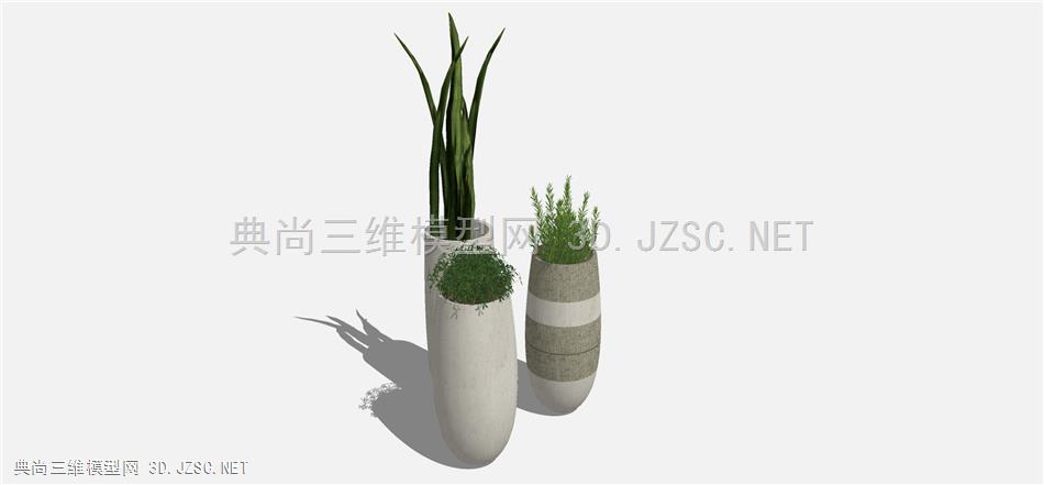 现代风格装饰植物盆栽 (29)