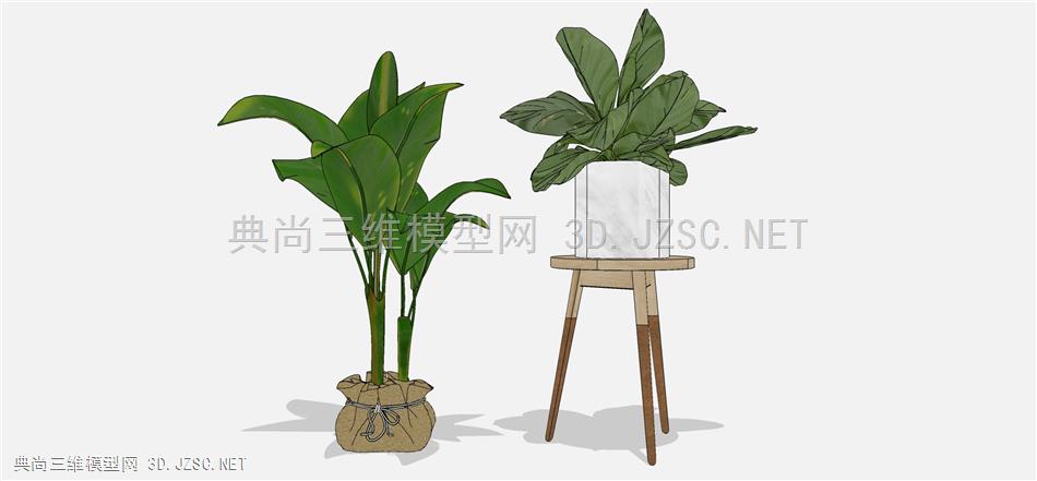 现代风格装饰植物盆栽 (40)