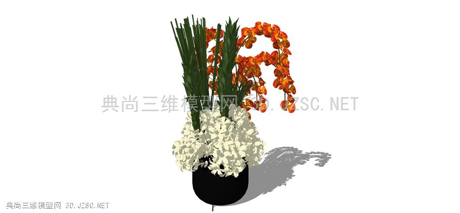 现代风格装饰植物盆栽 (145)