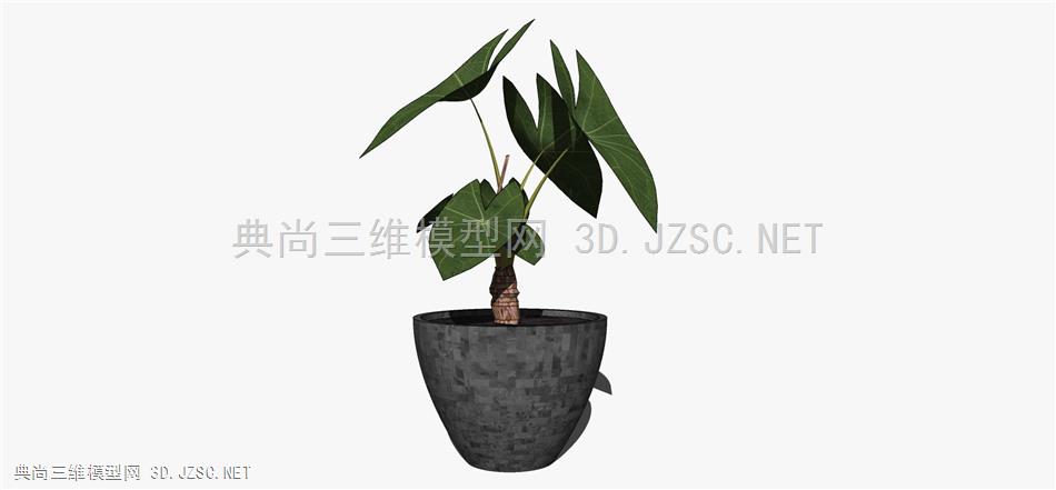 现代风格装饰植物盆栽 (123)