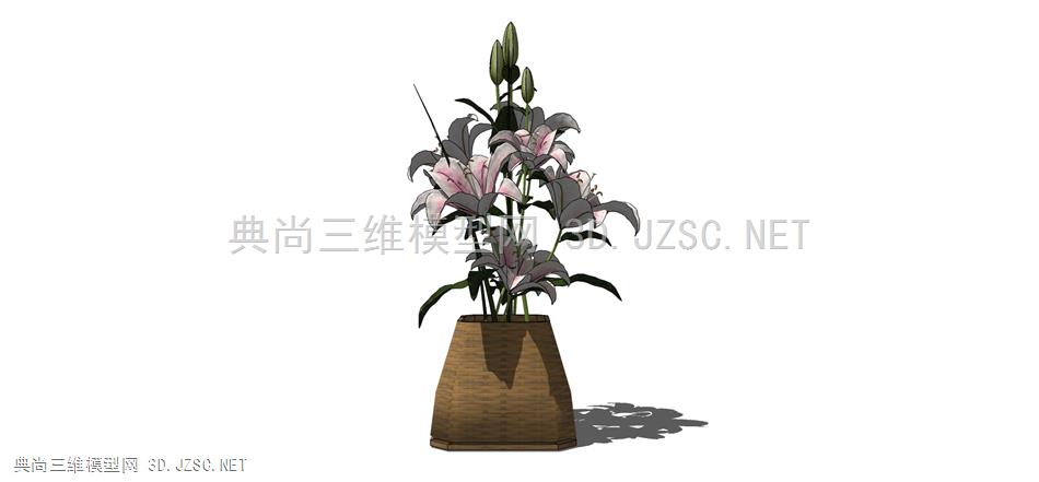 现代风格装饰植物盆栽 (157)