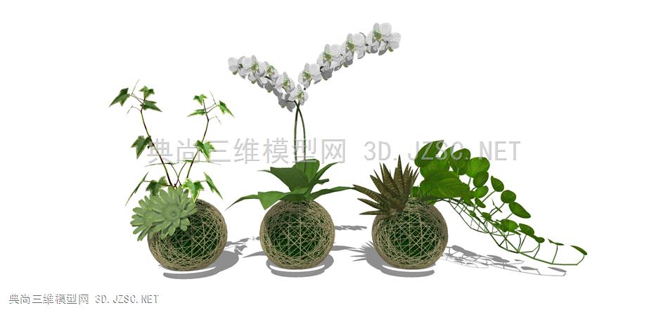 现代风格装饰植物摆件 (5)