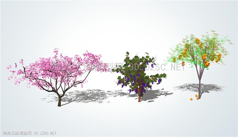 现代果树 葡萄 桃树