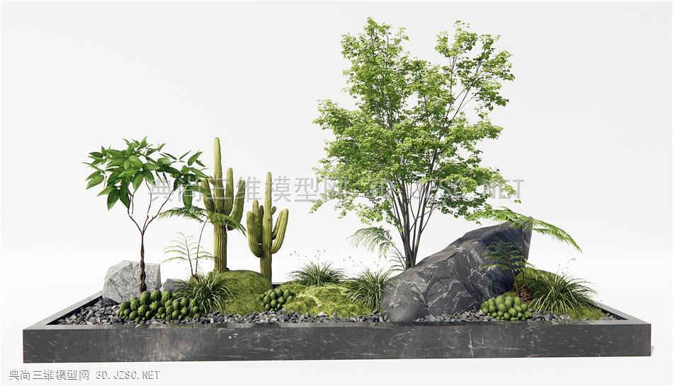 现代庭院小品 景观植物 苔藓 石头 灌木绿植
