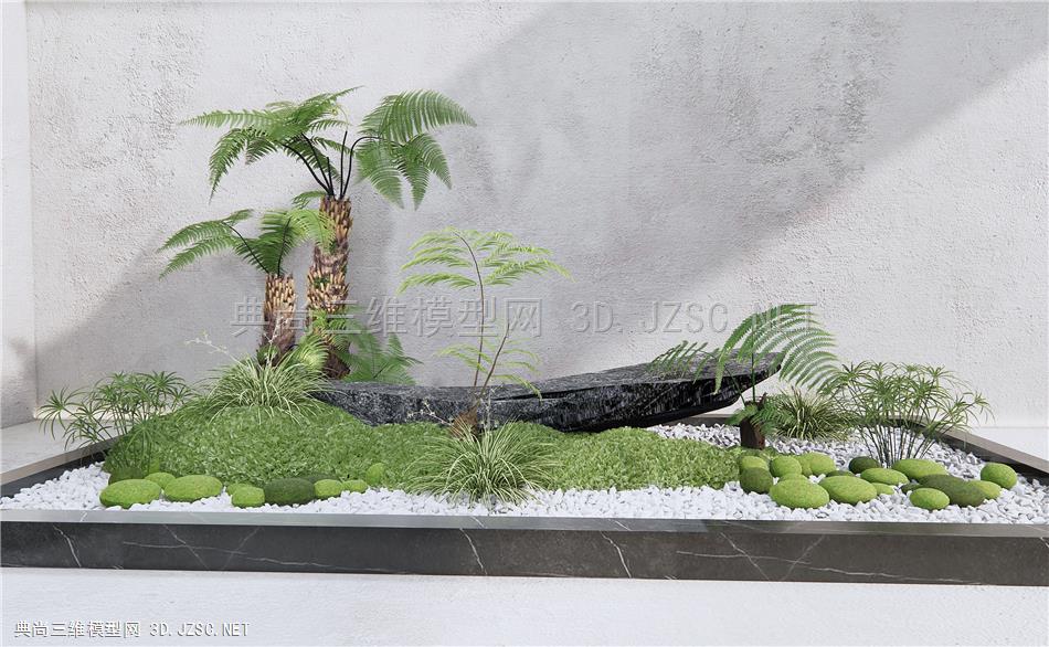 现代庭院植物小品 植物堆 蕨类植物 肾蕨 苔藓 景观石头