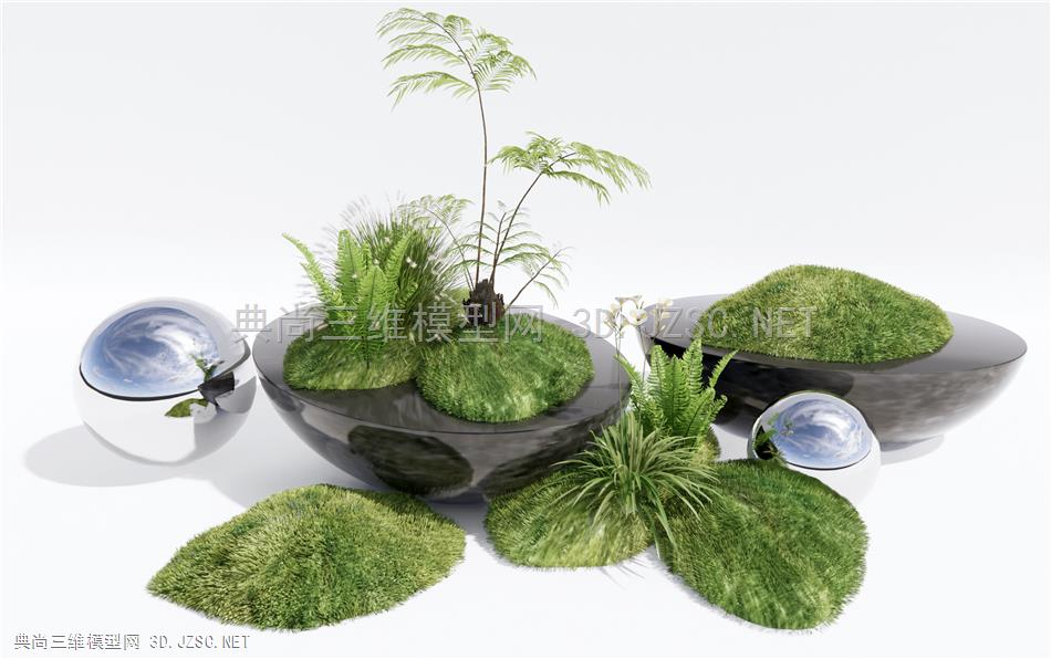 现代苔藓植物盆栽 蕨类植物 雕塑小品