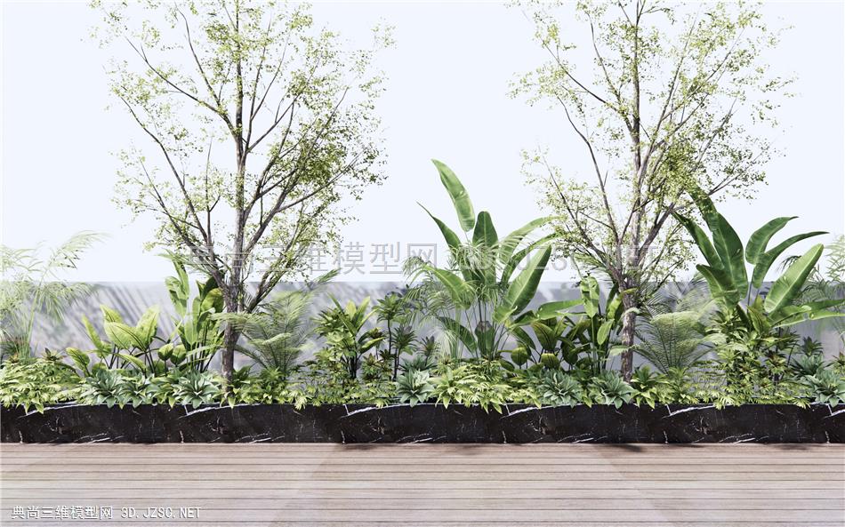 现代灌木绿植 户外植物 植物堆 景观树 热带植物 芭蕉 花草