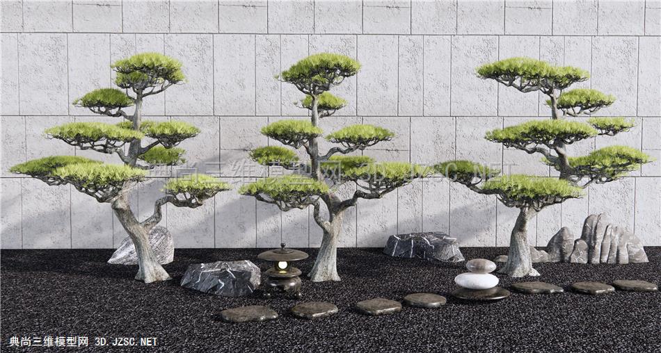 新中式造型松树 柏松 迎客松 景观石 枯山石庭院小品1