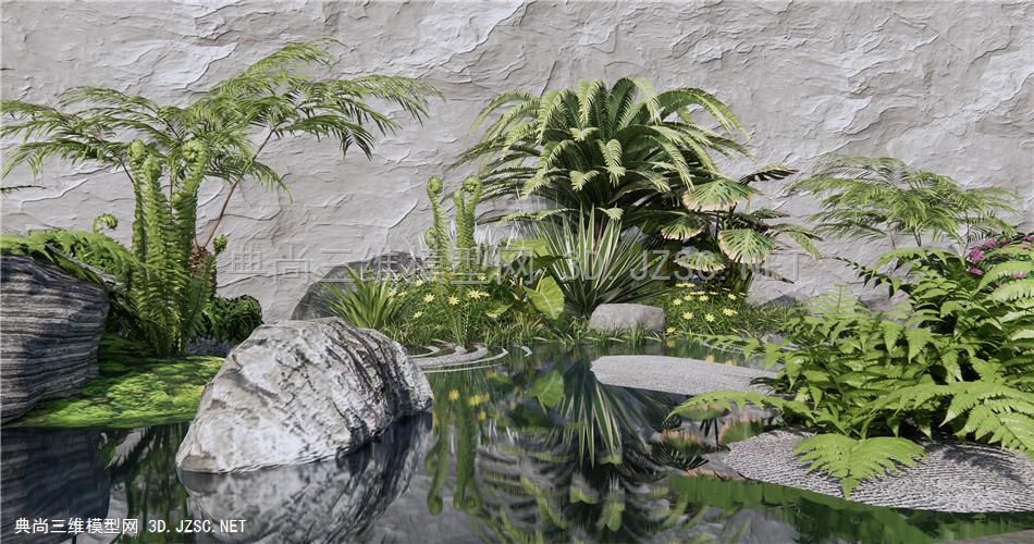 现代庭院植物小品 蕨类植物 肾蕨 苔藓 景观石头 植物水景1