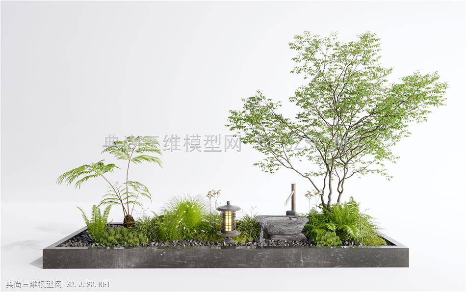 现代植物堆景观 蕨类植物 苔藓 石头 灌木绿植 景观树