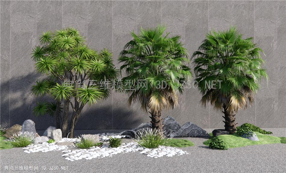 现代棕榈树 热带景观树 乔木1
