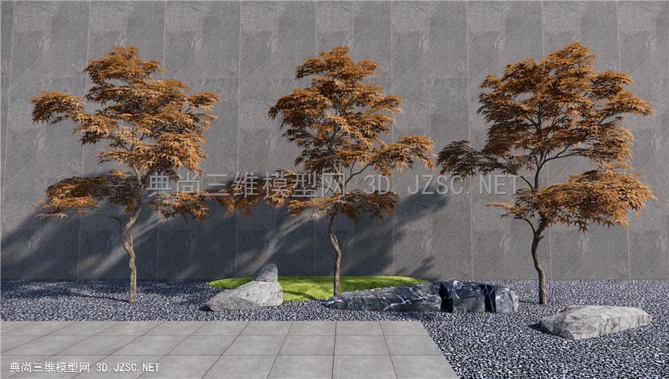 现代红枫 庭院造景树 乔木 石头1