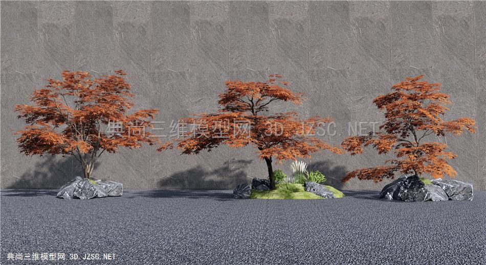 现代庭院红枫树 乔木 景观植物 石头1