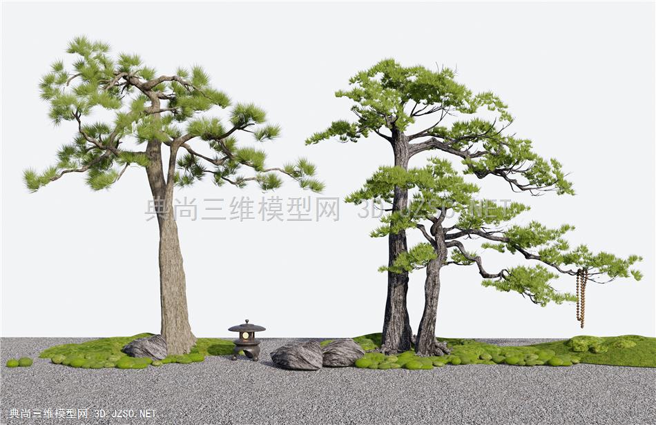 新中式松树 石头景观造景  苔藓1