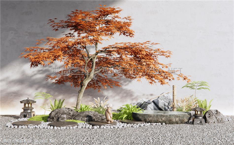 日式庭院景观造景 红枫 景观石头 水钵 雪花石 泰山石 植物景观 植物堆1