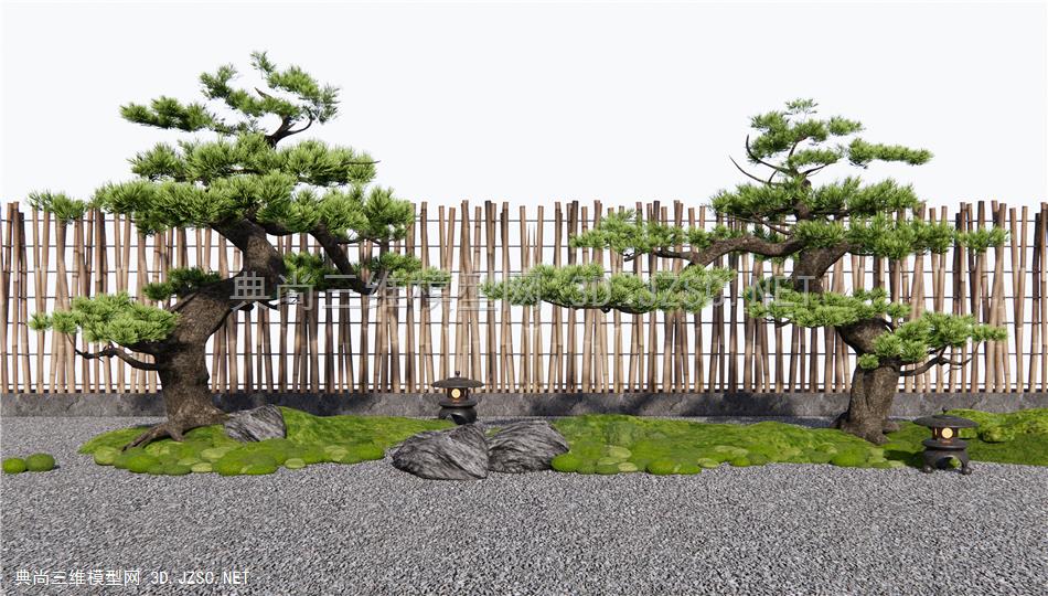 新中式罗汉松 造景松树 苔藓 植物景观1